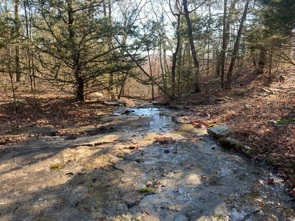 Rivulet